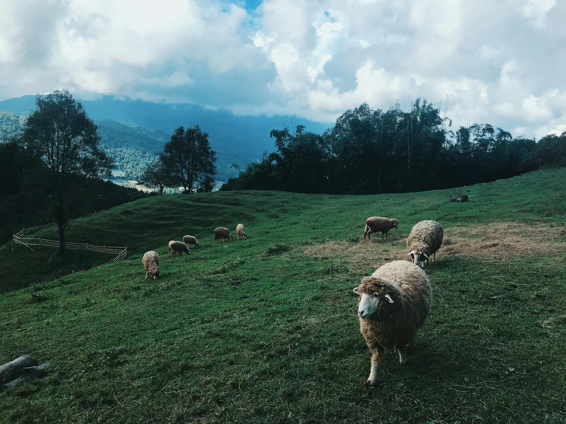 Capture the vibrant beauty of Luang Namtha in the dry season